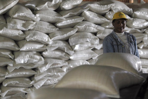A sugar worker examines sacks of sugar at a Cuban sugar factory in Calimete